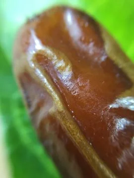 Palm date background unit isolate Stock Photos