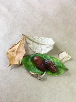 Palm date background unit isolate Stock Photos