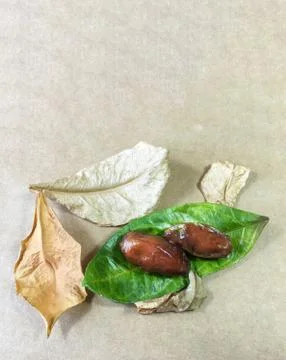 Palm date background unit isolate Stock Photos