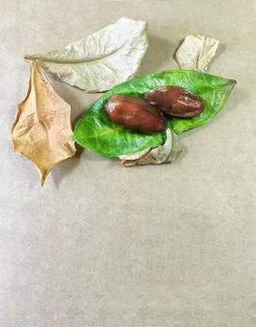 Palm date background unit isolate Stock Photos