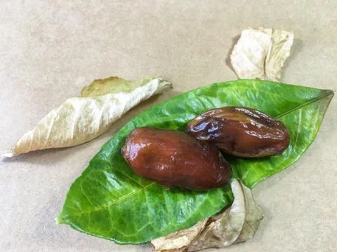 Palm date background unit isolate Stock-Fotos