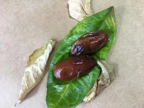 Palm date background unit isolate Stock-Fotos