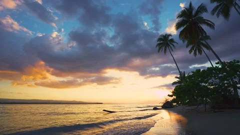 Palm evening beach on the background of an amazing sunset in the ocean. Stock Footage 242063916