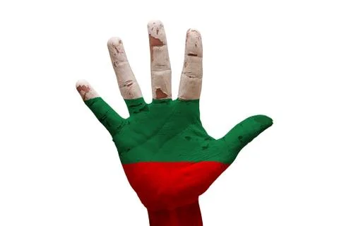 Palm flag bulgaria Stock Photos