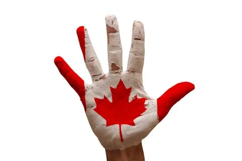 Palm flag canada Stock Photos