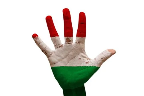 Palm flag hungary Stock Photos