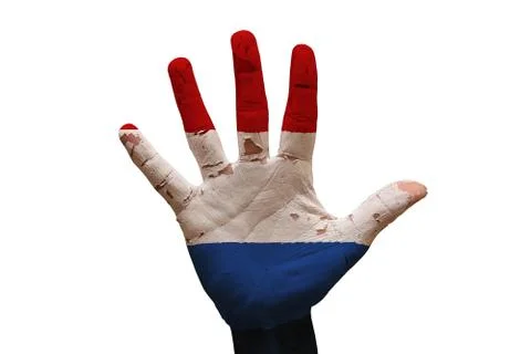 Palm flag netherlands Stock Photos