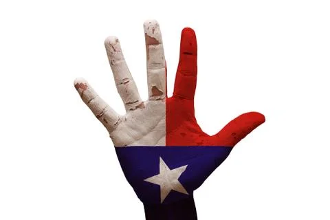 Palm flag texas Stock Photos