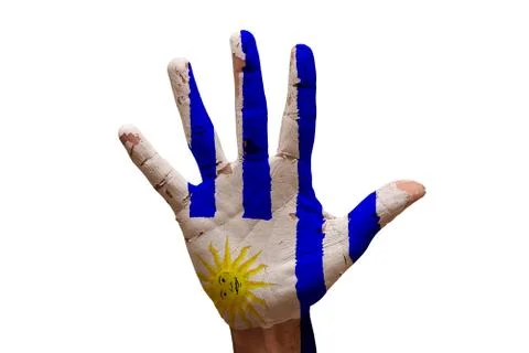 Palm flag uruguay Stock Photos