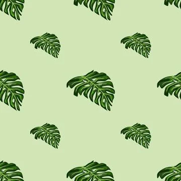 Palm foliage seamless pattern with minimalistic green monstera leaves print.  Stock Illustration