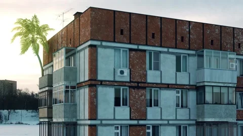 Palm Stock Footage 130913149