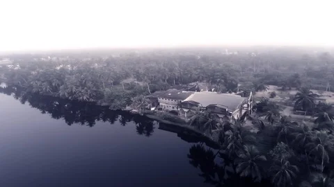 Palm forest along laguna Stock Footage 104672945