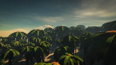 Palm Forest Illustrazione stock