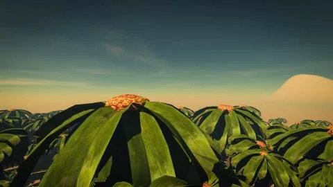 Palm Forest Illustrazione stock