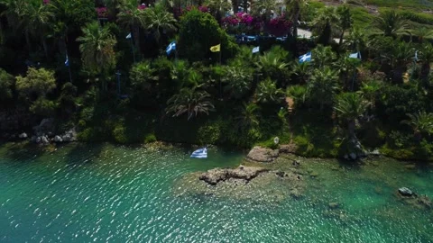 Palm forest oasis in Greece Stockbeeldmateriaal 250362187