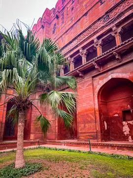 A palm in front of the red wall of Agra Fort in Agra, India Stock Photos