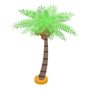 Palm fruit tree icon, isometric style Illustrazione stock
