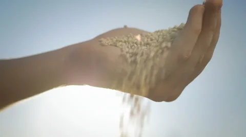Palm full of grains which are falling down against the sky with sun Stock Footage 67042464