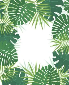 Palm green leaves Ilustração Stock