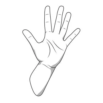 Palm hand number five gesture vector illustration Stock Illustration