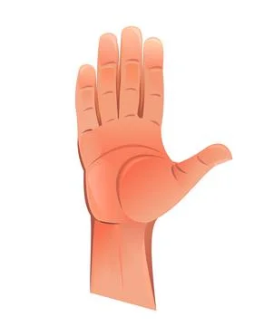 Palm of hand raised up. Object isolated on white background. Funny cartoon st Stock Illustration