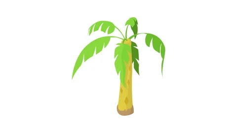 Palm icon animation Stock Footage 168927500