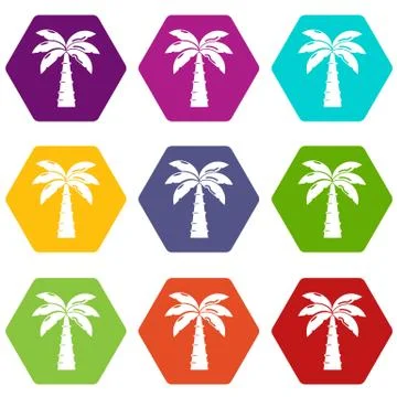 Palm icons set 9 Illustrazione stock