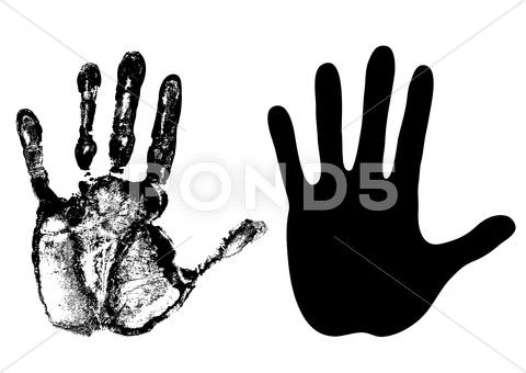 Palm Stock Illustration