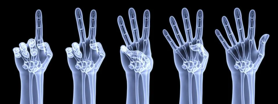 Palm 스톡 일러스트