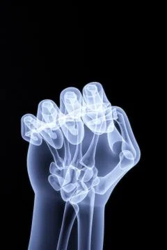 Palm Illustrazione stock