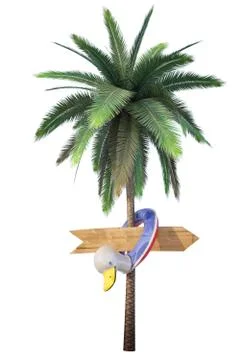 Palm Stock Illustration