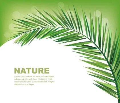 Palm Stock Illustration