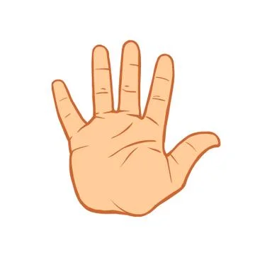 Palm Stock Illustration