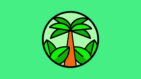 Palm Island Stock Footage 335815933