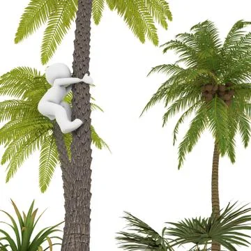 The palm island Stock Illustration
