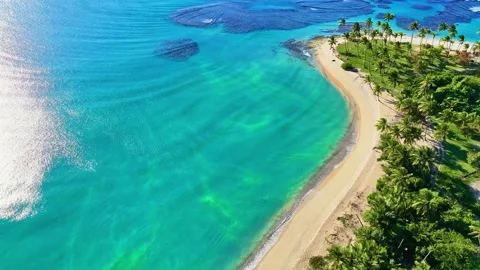 Palm island in the ocean Video stock 326596454