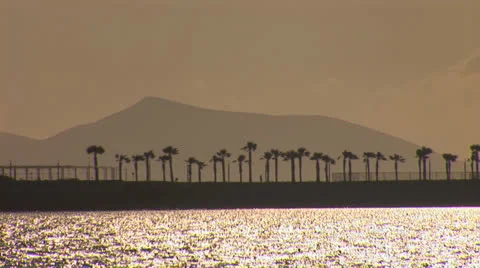 Palm island at sunset Stock Footage 23941198