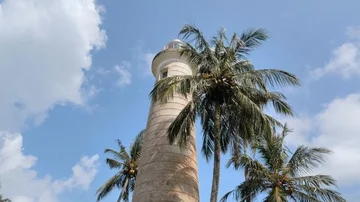 Palm Lantern Tropics Oceanside Slowmotion 4k Stock Footage 85777985