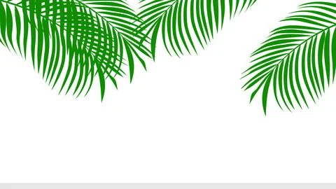 Palm Leaf Background banner. vector Illustration Illustrazione stock