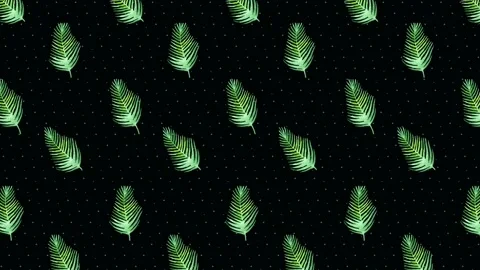 Palm Leaf Background black Stock Footage 212453322