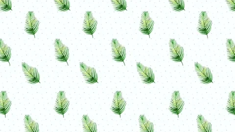 Palm Leaf Background Stock Footage 212453325