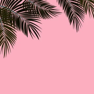 Palm Leaf  Background Illustration Stock Illustration