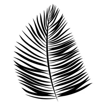 Palm Leaf  Background Illustration Stock Illustration