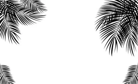 Palm Leaf  Background Illustration Stock Illustration