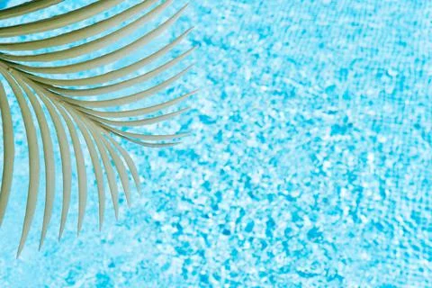A palm leaf on a background of pool water. concept of summer and travel. copy Stock Photos