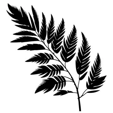 Palm leaf background. Realistic palm tree leaf silhouette isolated element... Stock Illustration