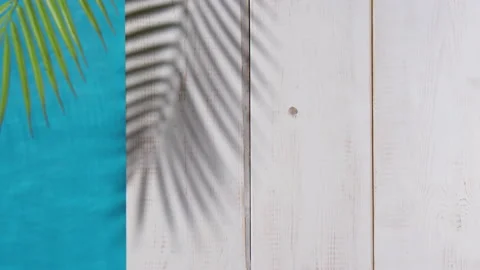 A palm leaf casts a shadow near the pool Stock Footage 201527316