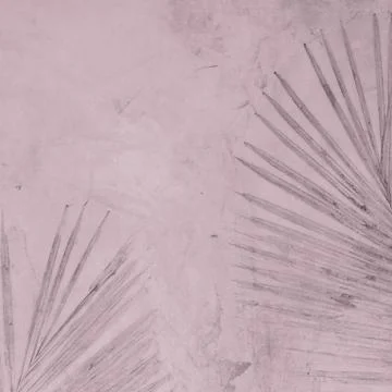 Palm leaf on cement background Stock Photos