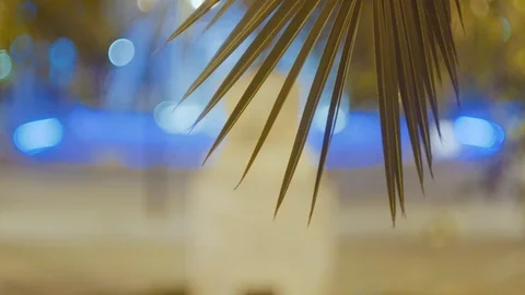 Palm leaf in the city. Bokeh in the background. / 4K Video Footage Video stock 101843152