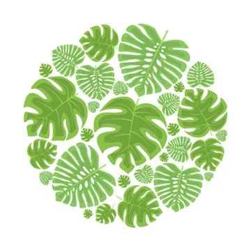 Palm leaf decoration Stock Illustration